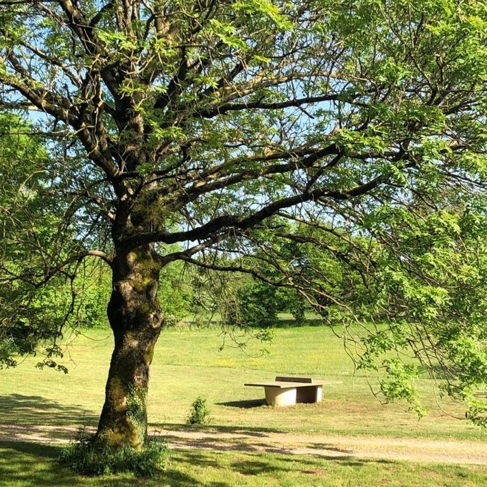 Gîtes de Tapies